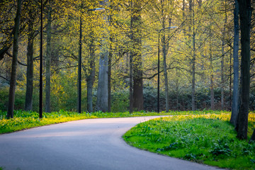 beautiful parks in autumn fall season
