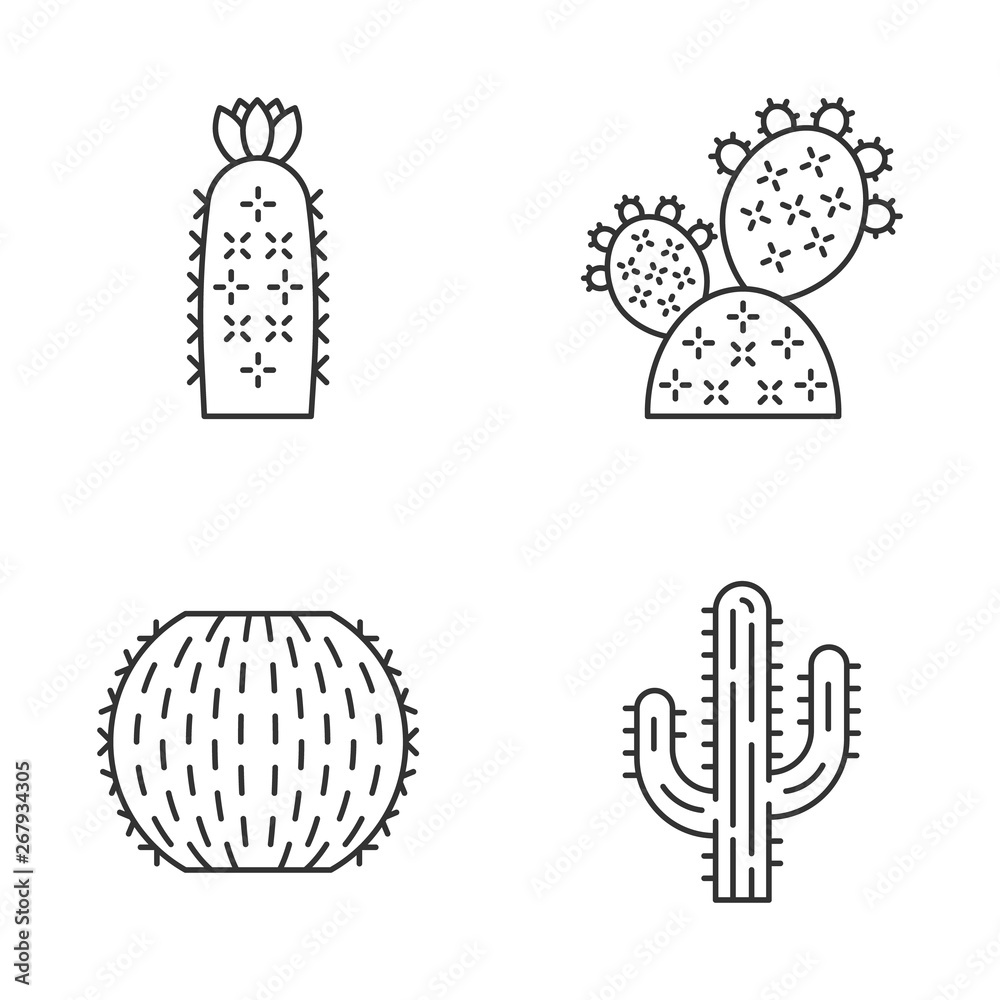 Wall mural Wild cactus linear icons set