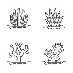 Wild cacti in ground linear icons set