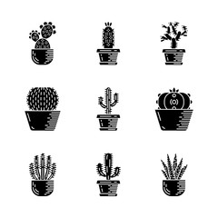Cactuses in pots glyph icons set