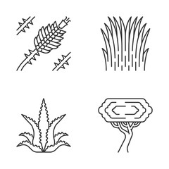Fototapeta na wymiar Desert plants linear icons set