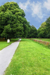 green lawn park pathway with blue sky 