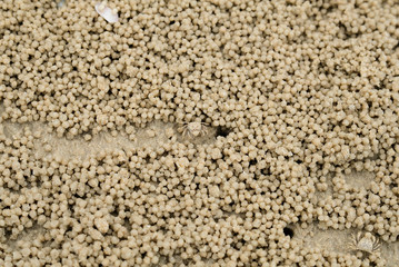 Top view Wind crabs and beaches.