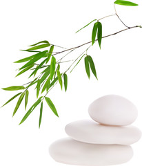 isolated white stones and green bamboo illustration