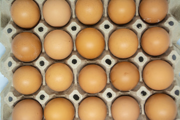 Eggs for cooking many types of food for all human being to good healthy