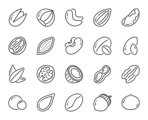 Nuts and seeds line icons. Hazelnut, Almond nut and Peanut. Sunflower and pumpkin seeds, Brazil nut, Pistachio icons. Walnut, Coconut and Cashew nuts. Pecan, peas, macadamia. Vector