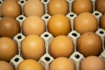 Eggs for cooking many types of food for all human being to good healthy