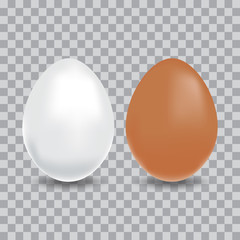 Chicken eggs, brown and white realistic eggs, vector illustration.