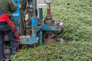 Hollow borehole auger of a dry drilling rig drills a hole in the sandy soil and produces sand on...