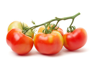 fresh tomato isolated on white background