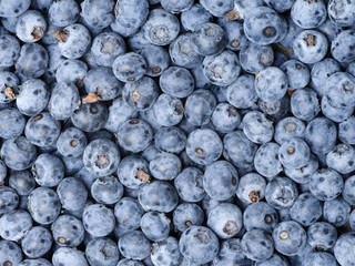 Background of fresh ripe blueberries. Close-up.