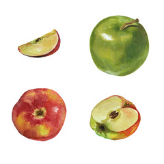 Apple set. Hand drawn illustration  