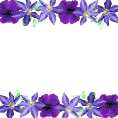 Beautiful floral background of clematis and petunia. Isolated 