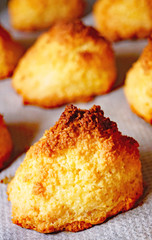pastas o galletas de coco 