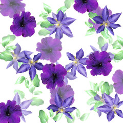 Beautiful floral background of clematis and petunia. Isolated 