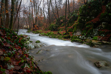 Autumn forest with magic river