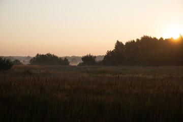   sunrise over a misty meadow in summer morning