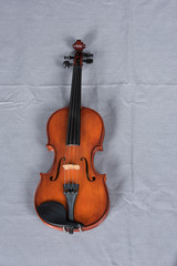 Fototapeta na wymiar Vintage violin