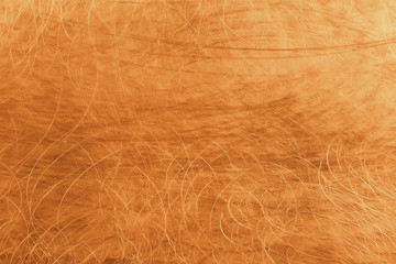 golden background scratch blank texture / abstract metallic background old vintage wall