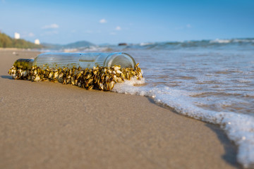 Fototapeta na wymiar Old glass bottle with sea shell on the beach.