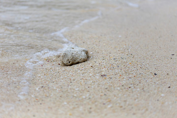 Korallen im Sand auf Koh Phi Phi