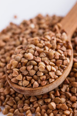 Grain buckwheat on a white acrylic background