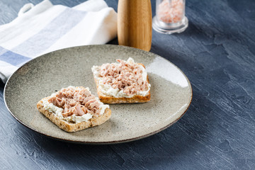 Delicious tuna sandwich