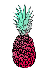 Vector illustration of colorful pineapple  isolated on white. T-shirt print design