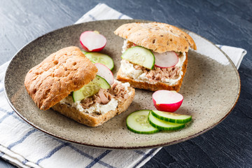 Delicious tuna sandwich, served with radish and cucumber