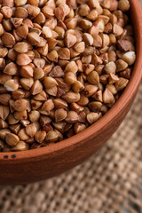 Grain buckwheat on a gray wooden background