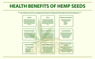 Health Benefits of Hemp Seeds horizontal infographic illustration about cannabis as herbal alternative medicine and chemical therapy, healthcare and medical science vector.