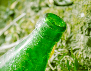 Throat old green bottle in nature