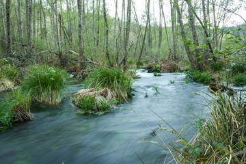 rio efecto seda
