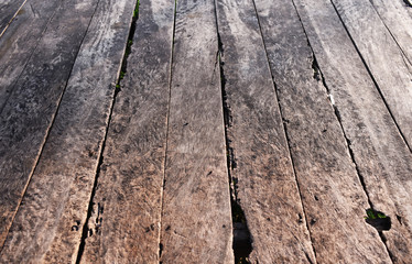 Fototapeta premium texture of wood