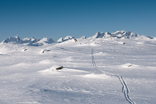 Skitracks In Jotunheim