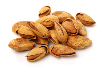 apricot kernel isolated on white background