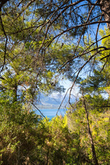 The coast of Mediterranean sea