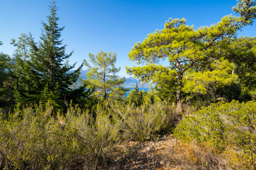 Obraz premium The coast of Mediterranean sea