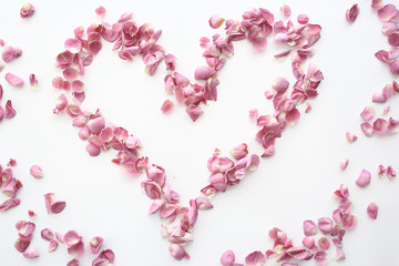 heart rose petals / pink roses, heart-shaped frame petals, love concept