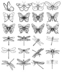 isolated, set of sketches of butterflies and dragonflies on a white background - obrazy, fototapety, plakaty