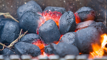 Charcoal briquettes for grilling on fire