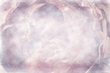 Obraz premium background fold flower macro / red flower, abstract aroma background gentle summer rose