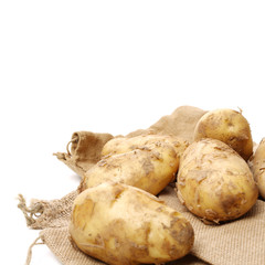 Moldy bread on white background