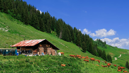 Pourquoi pas des vacances à la ferme ?