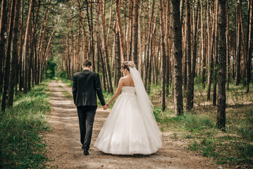 bride and groom walk in a pine forest holding hands