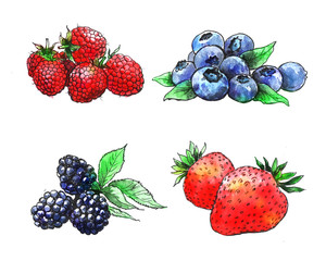 Fototapeta na wymiar berries, fruit,strawberry, blueberry, blackberry, raspberry, additive, breakfast, healthy, food, summer, fresh, berry, organic, isolated, diet, green, vitamin, bright, colorful, watercolor, sketch, aq