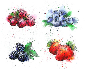 berries, fruit,strawberry, blueberry, blackberry, raspberry, additive, breakfast, healthy, food, summer, fresh, berry, organic, isolated, diet, green, vitamin, bright, colorful, watercolor, sketch, aq - 267949937