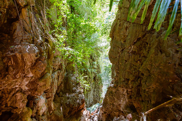 Gorge in the tropical mountains. Jungle, access to the lagoon on top of the cliffs of the Railay Peninsula.