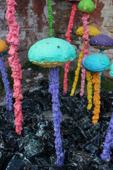 the colorful mushrooms