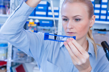Female technician in laboratory of genetics - reprogenetics. Young technician use dispenser for pipetting PCR strips